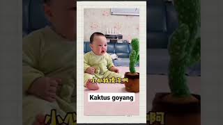 mainan kaktus goyang #anak #mainananak #mainananakmurah #toys #kaktusgoyang