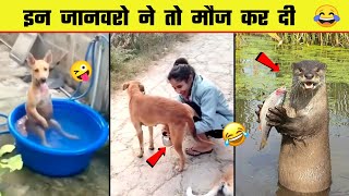 🤣 इन जानवरों की हरकते आपके तोते उड़ा देंगी 😜 Most Funny Animal Videos - Part 11