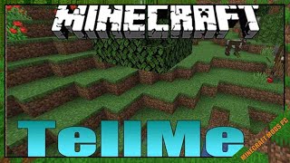 TellMe Mod 1.17.1 - Minecraft Mods for PC