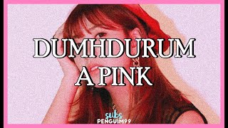 [K-Pop] A Pink (에이핑크) - Dumhdurum (PT-BR)