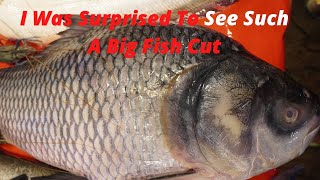 Amazing Cutting Skills | Big Rohu Fish And Pangas Fish Skinning & Chopping By Expert Fish Cutter