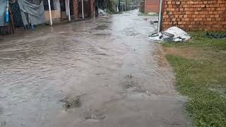 Alagados No Icuí Guajará - Abandono Total