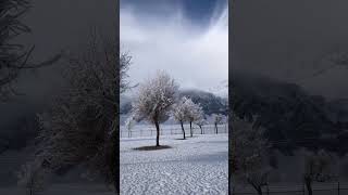 Cold Desert Covered by Snowfall