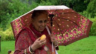 Aam ke Baagh Aur Hum  -  Exploring the Mango Orchards of Amroha