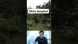 Dikira dangkal | ternyata ❓️ #reaction #trending #shortvideo