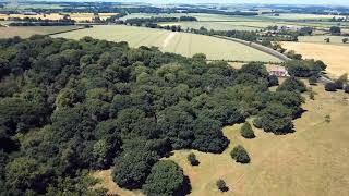 A little look about over Beverley Westwood.