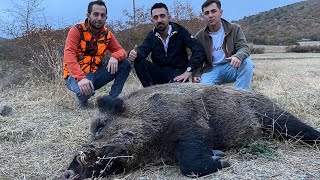 2023-2024Çorum adrenalin dolu domuz avı || Turkey Çorum high adrenalin wild bour hunt 🐗 #wildboar