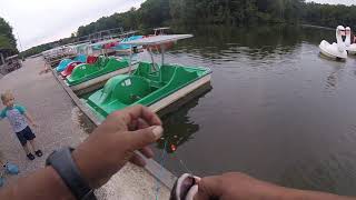 Bank fishing B Cincinnati (Miami whitewater forest)8-31-19