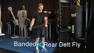 Banded Rear Delt Fly I Dollar Train Club