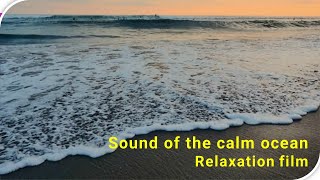 Sound of the calm ocean | Relaxation sound | Beira Mar