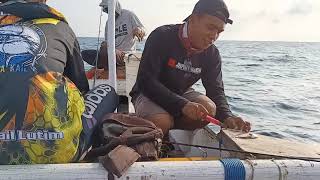 MANCING IKAN KAKAP MERAH UMPAN IKAN POTONG HASILNYA JOSS || JEMPONG MANCING#JM-07