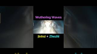 Best Duo Team in Wuthering Waves? #wutheringwaves #wuwa #kurogames #wutheringwaveshighlights