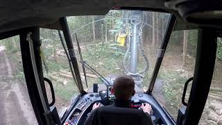 Inside Harvester Ponsse Ergo 6W H7 Onboard GoPro Käferbäumefällen #Harvester