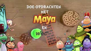 Maak je eigen insectenhotel met Maya de Bij