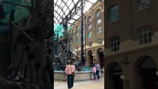 Hays Galleria #shorts