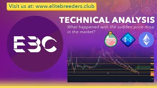 Technical Analysis: What happened with the sudden price drop in the marker? | EBC Seminar