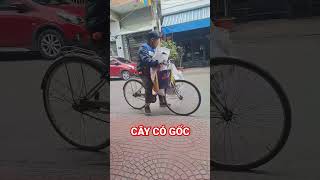 ĐÂY LÀ CÁI VIDEO GỐC Ạ