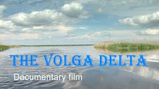 Nature of Russia. The Volga Delta.