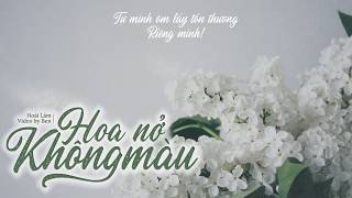 Video Lyrics || Hoa Nở Không Màu - Hoài Lâm