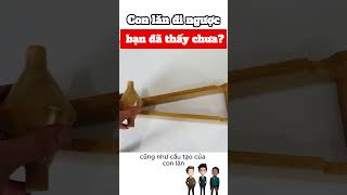 Con lăn đi ngược bạn đã thấy chưa ? #shorts #shortvideo #review