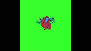 3D human heart beating animation green screen