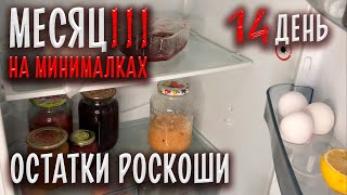 Половина эксперимента позади. День 14. [МЕСЯЦ НА МИНИМАЛКАХ 3.6]