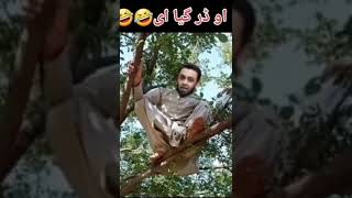 Atta Tarar funny video. براہ مہربانی چینل کو سبسکرائب کریں