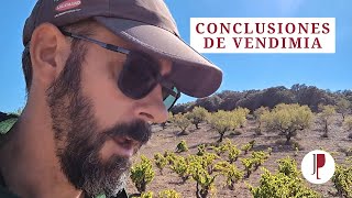 Conclusiones de la vendimia