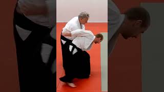 Aikido KAESHIWAZA, counter techniques, on IRIMINAGE, by Stefan Stenudd