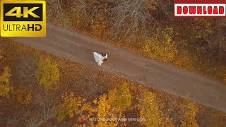 🎁4K Beautiful attractive couple celebrate their wedding in autumn forest | DAILY NATURE FOOTAGE