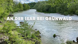 An der Isar bei Grünwald (in 4K)