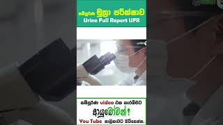 සම්පූර්ණ මුත්‍රා පරීක්ෂාව |Urine Full Report | UFR| MLTAnushika Perera#UFR #shortvideo #shorts