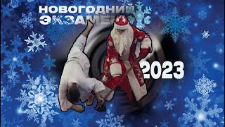 Новогодний экзамен - 2023.