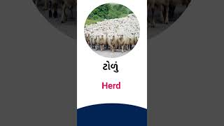 Herd meaning in Gujarati - English Dictionary