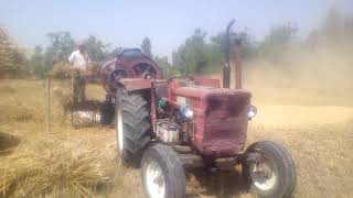 New Holland Fiat 640 working on wheat Thrasher