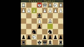 Traxler Gambit #chess #kingsacrifice #TraxlerGambit #chesstrap #chesstrick #grandmaster #chesslive