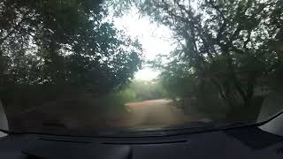 Driving on dirt road of Oahu, Hawaii