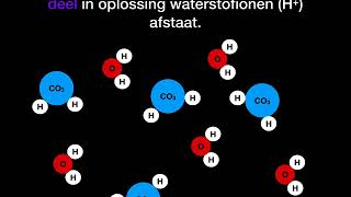 zuren en basen