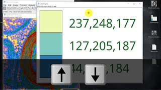 008 Usar, editar y archivar tablas de visualización: Lookup Tables (Curso ImageJ-Fiji)