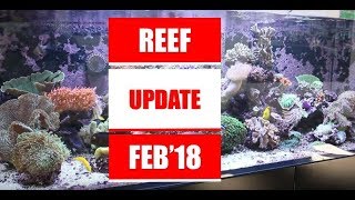 Red Sea Reefer 525 - Update Feb 2018