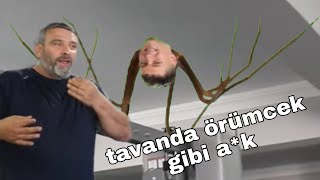 Tavanda örümcek gibi a*k | Kadir hoca dümenden edit