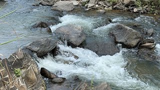 Experience the Calming Effects of Listening to Nature Sounds