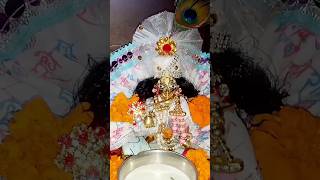 Jai ho nandlal ki 🙏🏻❤️ | Jai Shri Krishna #shorts #statusvideo #laddugopal