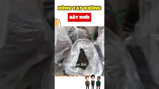 DÙNG TAY KHÔNG BẮT RUỒI #phimhay #trending #reviewphim #tintuc #animals #giaitri