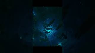 Black Panther Wakanda Forever Talokan Underwater Scene😍 | Con la Brisa 🎶🎼