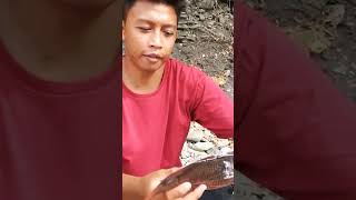 panah ikan #lautaceh #spearfishing #spearfishing_reviews #viral