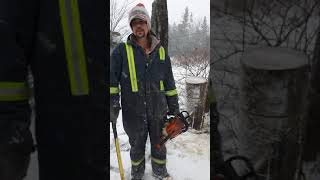 Bark removal chainsaw art