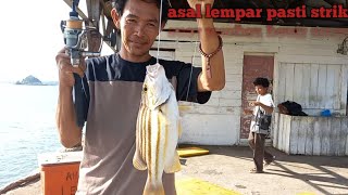 Ini lah Hasil Tangkapan ikan Terbanyak Selama Saya Mancing.