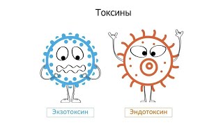 Детокс программа для восстановления здоровья. Ольга и Владимир Подхомутниковы.