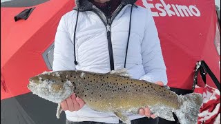 Ice fishing derby win! Monster brown trout!